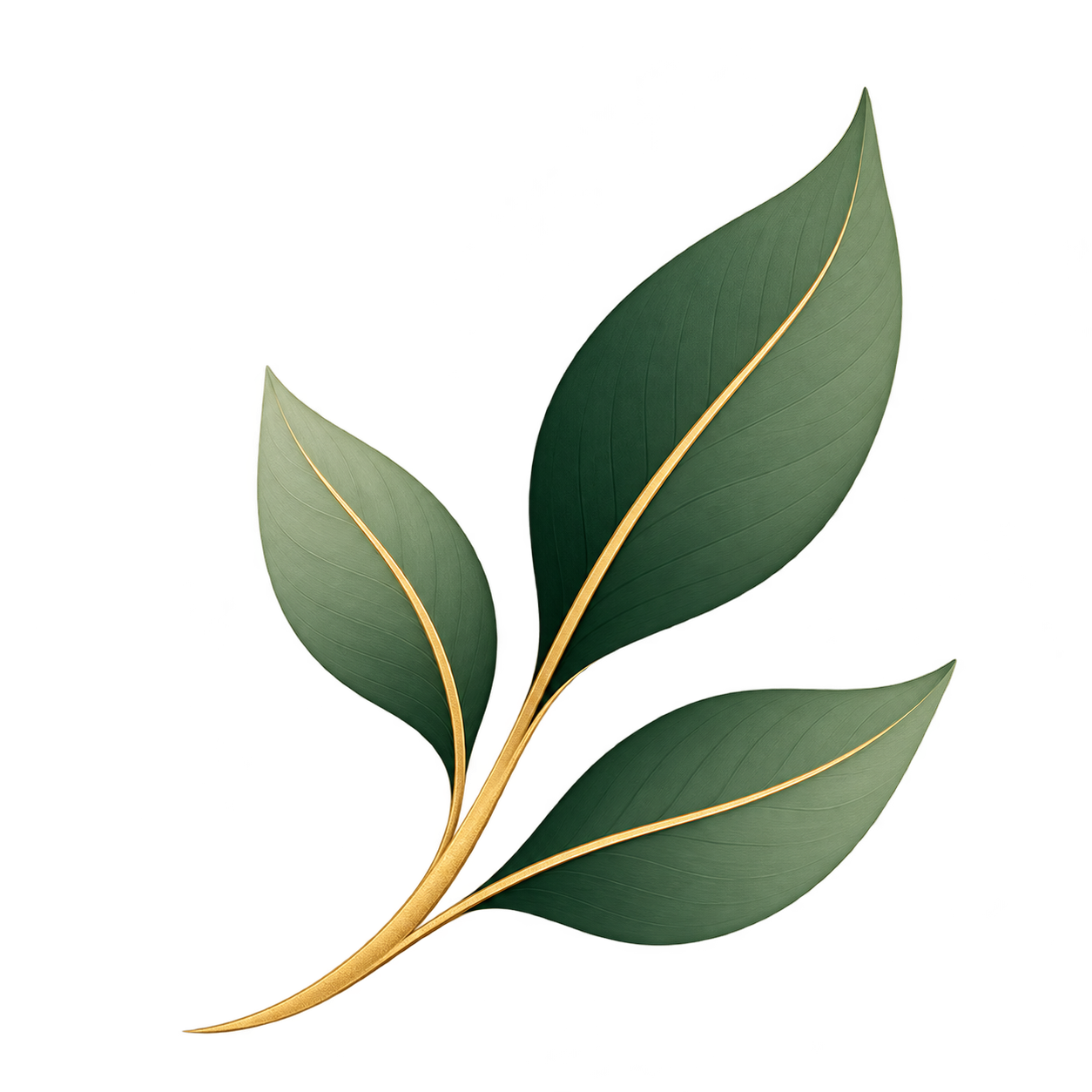 SK Elite Tax & Accounting logo